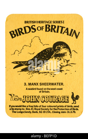 British Heritage Series 1 oiseaux d'Angleterre 3. manx sheerwater rspb john courage Banque D'Images