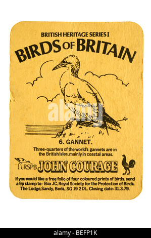 British Heritage Series 1 oiseaux d'angleterre 6 john courage rspb gannet. Banque D'Images