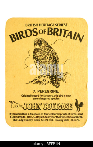 British Heritage Series 1 oiseaux d'Angleterre 7. faucon rspb john courage Banque D'Images