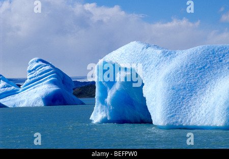 Les icebergs près de glacier Upsala. Lago Argentino. Le Parc National Los Glaciares. Province de Santa Cruz. La Patagonie. L'Argentine. Banque D'Images