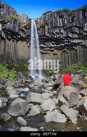 Cascade de Svartifoss, le parc national de Skaftafell, l'Islande Banque D'Images