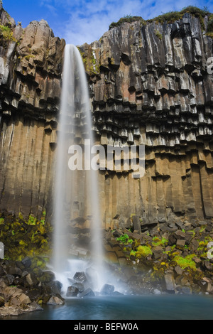 Cascade de Svartifoss, le parc national de Skaftafell, l'Islande Banque D'Images