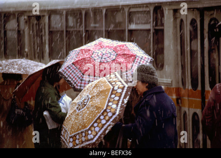 Les gens dans une tempête de neige avec des parapluies ouverts - les navetteurs en attente dans la file d'attente à l'arrêt de bus en pleine tempête Banque D'Images