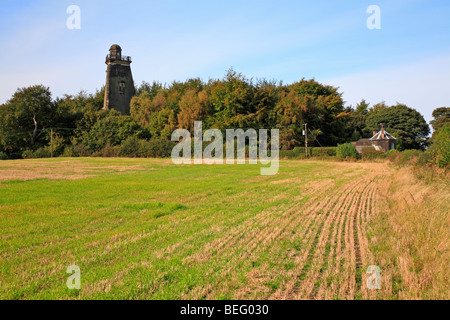 Hoober Monument Stand, Wentworth près de Rotherham, South Yorkshire, Angleterre, Royaume-Uni. Banque D'Images