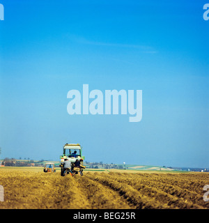 La plantation des pommes de terre, Alsace, France Banque D'Images