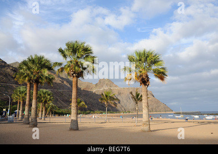 La plage Las Teresitas sur l'île des Canaries Tenerife, Espagne Banque D'Images