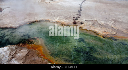 Les Geysers del Tatio : eau chaude piscine verte. Banque D'Images