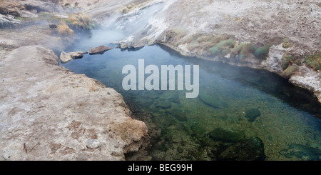 Les Geysers del Tatio : rivière d'eau chaude. Banque D'Images