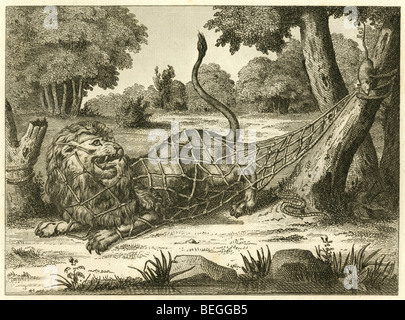 1834 gravure française du Lion et de la souris (rat) fable. Banque D'Images