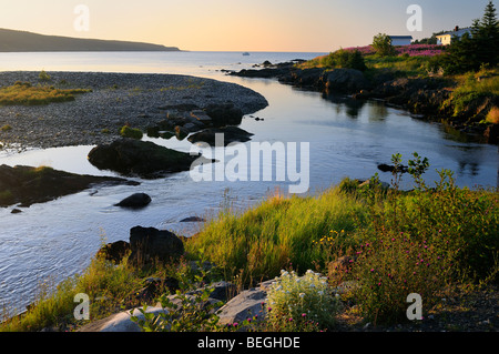 Les fleurs sauvages le long de la rivière mobile au coucher du soleil sur l'océan atlantique avec un bateau dans la baie, sur la péninsule d'Avalon à Terre-Neuve Banque D'Images