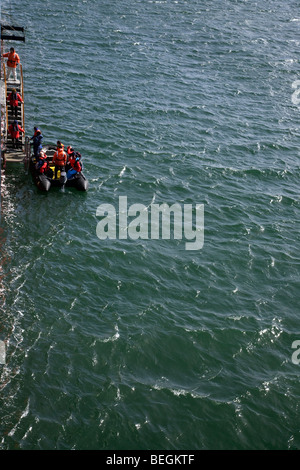 Les passagers du M/V d'embarquement Minerva zodiaques, Blanco Cove, Îles Falkland, l'Atlantique Sud Banque D'Images