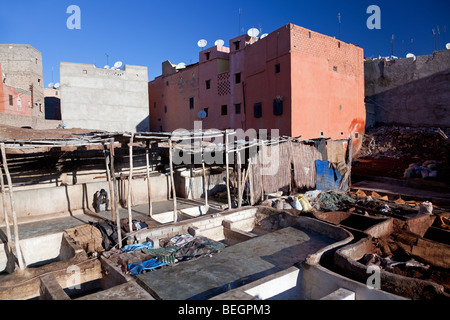 Les Tanneries berbères (travaux de fabrication du cuir), Marrakech, Maroc Banque D'Images