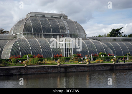 Palm House, Kew Gardens, London, England, UK Banque D'Images