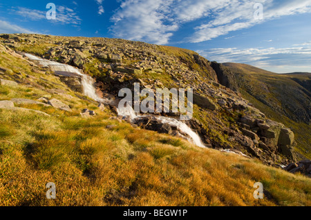 Cascades de l'Allt Feithe Buidhe stream, plateau de Cairngorm. Les touffes de couleur roussâtre au premier plan sont Deer Grass Banque D'Images