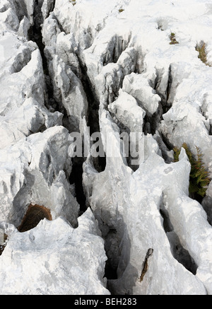 Lapiez dans les Alpes Juliennes, en Slovénie. Banque D'Images