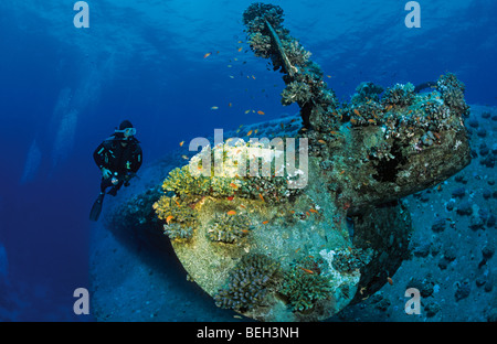 Salem Express Wreck et plongeur, Safaga, Red Sea, Egypt Banque D'Images