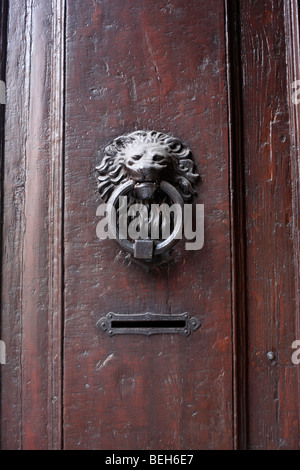 Un heurtoir en forme de tête de lion sur une porte en bois à Florence ou Firenze dans la région toscane de l'Italie Banque D'Images