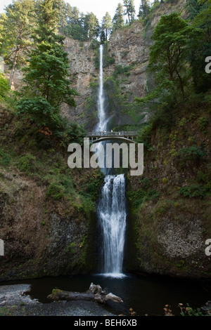Multnomah Falls, Columbia River Gorge, National Scenic Area, Oregon, USA Banque D'Images