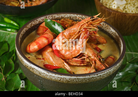 Crevettes ou gambas molee alimentaire de l'Inde du Sud Banque D'Images