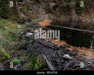 Barrage de castor Banque D'Images