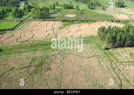 Les zones humides et reedland à partir de l'air, la réserve naturelle Demerbroeken, Belgique Banque D'Images