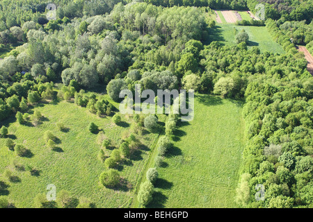 Les forêts et les prairies de l'air, Belgique Banque D'Images