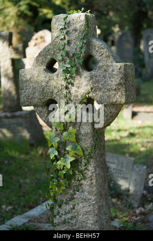 Croix en pierre couverts de lierre cimetière Banque D'Images