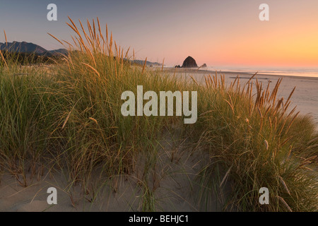 Cannon Beach et Haystack Rock Banque D'Images