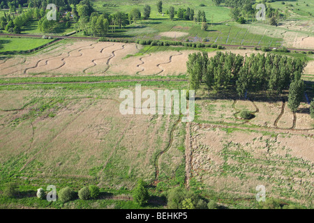 Les zones humides et reedland à partir de l'air, la réserve naturelle Demerbroeken, Belgique Banque D'Images