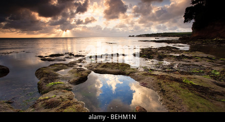 En regardant vers les roches de Old Harry, plage moyenne de Purbeck, Studland, Dorset, UK Banque D'Images