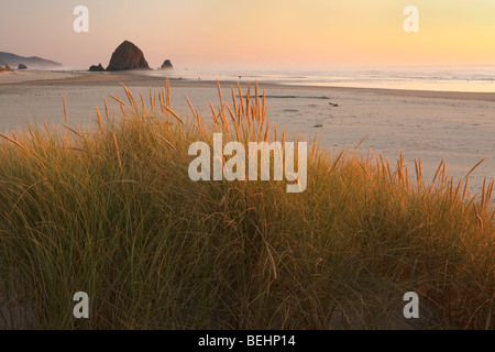 Cannon Beach et Haystack Rock Banque D'Images