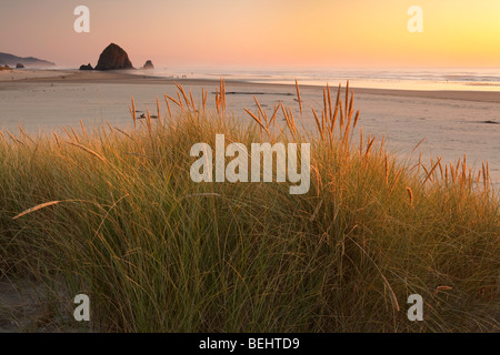 Cannon Beach et Haystack Rock Banque D'Images