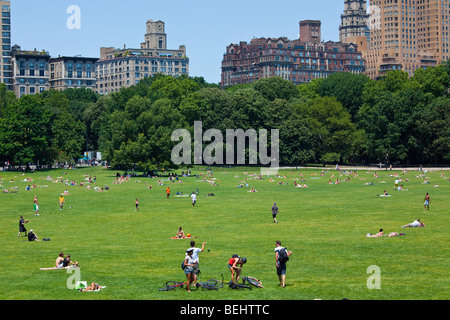 Sheep Meadow dans Central Park à New York City Banque D'Images