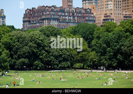 Sheep Meadow dans Central Park à New York City Banque D'Images