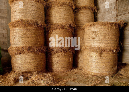 Bottes de foin dans la grange à foin à la ferme locale, Veneto, Italie Banque D'Images