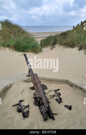 L'allemand seconde guerre mondiale deux canons dans les dunes près de la WW2 Utah Beach Musée du débarquement, Sainte-Marie-du-Mont, Normandie, France Banque D'Images