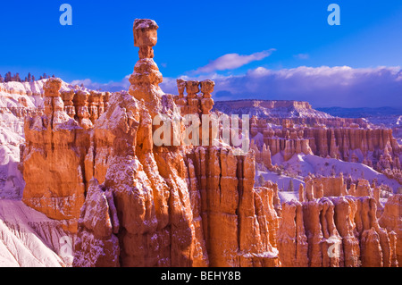 Matin léger et frais en poudre sur le marteau de Thor et cheminées ci-dessous Point Sunrise, Bryce Canyon National Park, Utah Banque D'Images