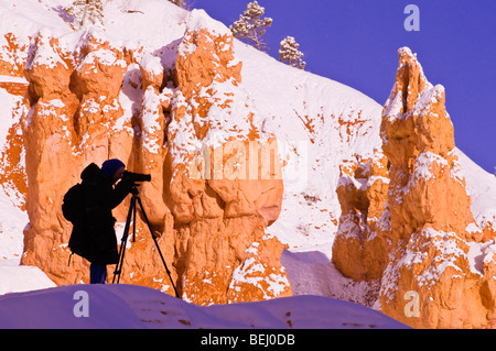 Prise de vue photographe nouvelle poudre de fée sur le long de la Queens Garden Trail, Bryce Canyon National Park, Utah Banque D'Images