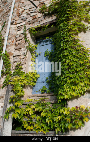 Porte bleue et escaliers recouverts de vigne vierge, Bez et Esparon village, France Banque D'Images