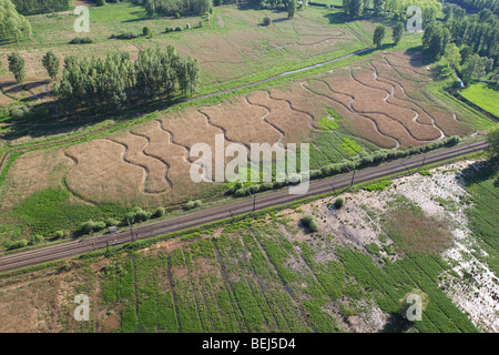 Les zones humides et reedland à partir de l'air, la réserve naturelle Demerbroeken, Belgique Banque D'Images