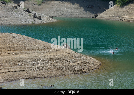 Les gens de nager dans le lac Lokvarsko jezero près de Lokve, Gorski kotar, Croatie, Europe Banque D'Images
