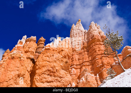 Des formations rocheuses et de poudreuse le long de la boucle Navajo, Bryce Canyon National Park, Utah Banque D'Images