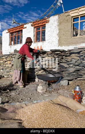 Woman toasting Tsampa (grains entiers). Rangdom village. Zanskar. Himalaya. L'Inde Banque D'Images