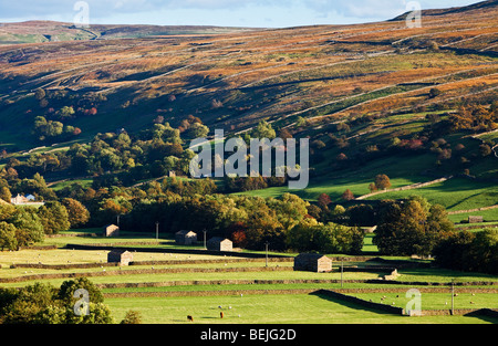 Swaledale, Yorkshire Dales, North Yorkshire, Angleterre, Royaume-Uni à l'automne Banque D'Images