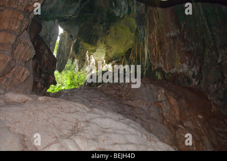 Gua Tempurung cave intérieur montrant la forêt couverte de l'entrée Banque D'Images