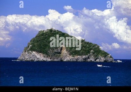 Paysage, l'île de Bergeggi, Ligury, Italie Banque D'Images