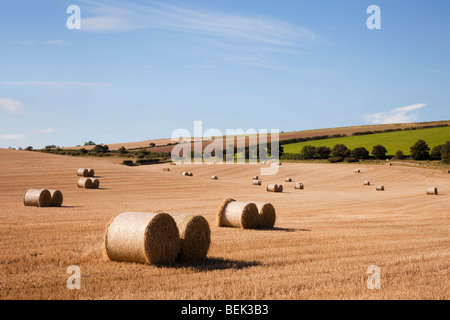 Scène de campagne avec vue sur golden champ arable de balles rondes sur les terres agricoles au cours de la récolte. St Abbs Berwickshire Scottish Borders Ecosse UK Banque D'Images