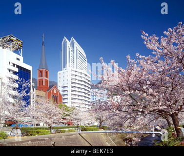 Blossoming cherry trees par le Riverside à Kobe, Hyogo Prefecture, Japan Banque D'Images