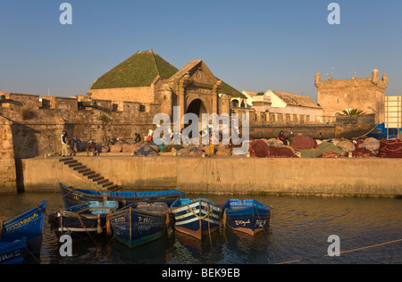 Port de pêche de Essaouira Maroc Banque D'Images