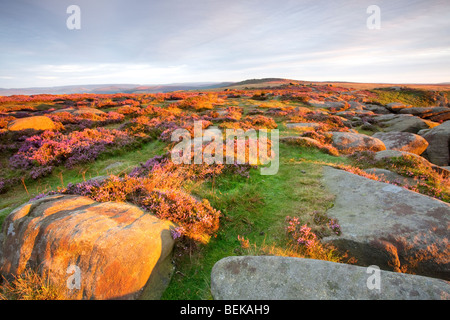 Higger Tor rocks illuminée par la lumière de l'été chaud l'aube dans le parc national de Peak District Banque D'Images